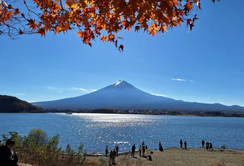 web gallery japan (3)