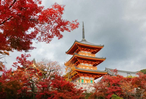 web gallery japan (1)