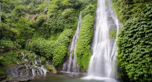 Web Gallery Bali Banyumala Waterfalls