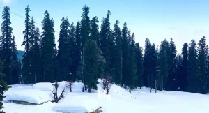 Web Gallery India Kashmir 007