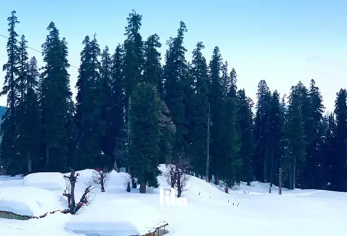 web-gallery-india-kashmir-007