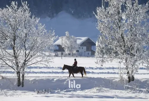 web-gallery-india-kashmir-011