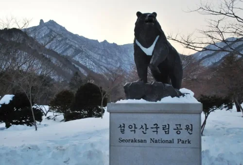 web gallery bali sorak