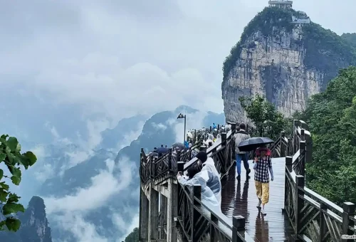 web gallery china  (7)