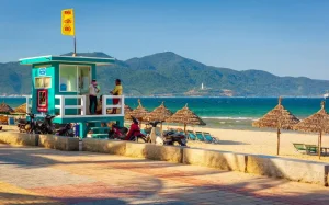 Web Gallery Vietnam  (5)