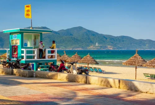 web gallery vietnam  (5)