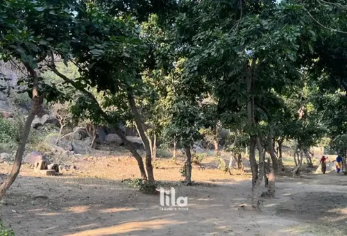 web-gallery-india-bukit-govardhan-001