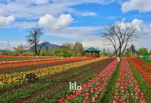 web-gallery-india-kashmir-009