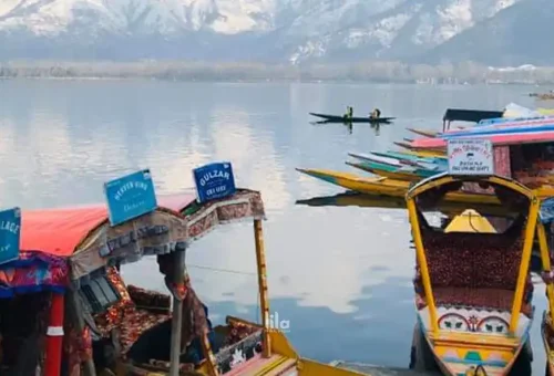 web-gallery-india-kashmir-shikara-ride-001
