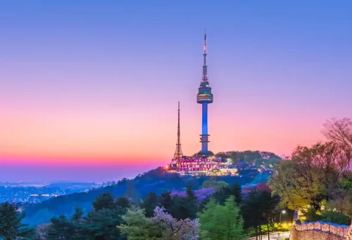 web gallery korea