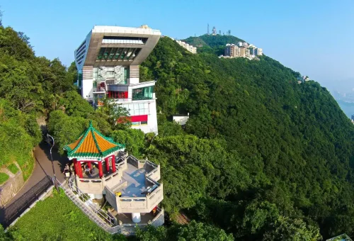 web gallery hongkong (1)