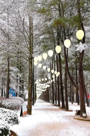 The Ultimate Travel Guide To Nami Island (Namiseom), Korea