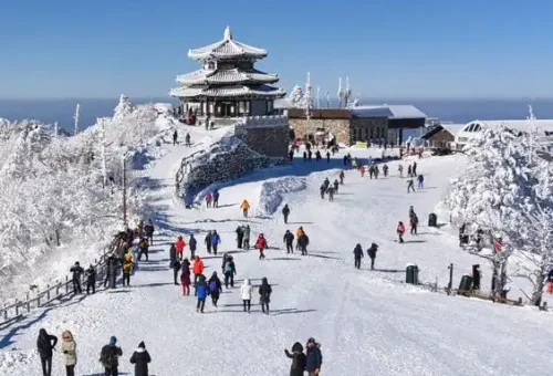 PinDown.io_@travolax_1763737510