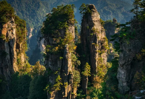 China Tours and Cultural Journeys | OddTrips