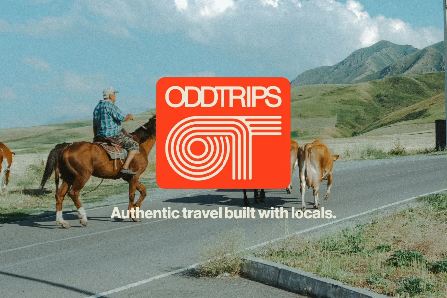 This Week’s Limited Trips – See Them First (31)