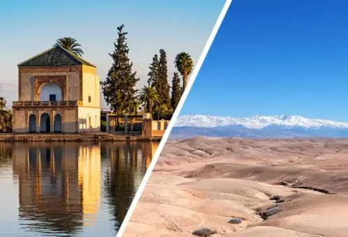 image_2024-12-11_115729890-990x490