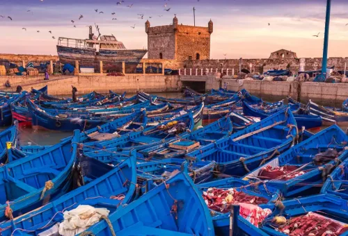 image_2024-12-11_121801314