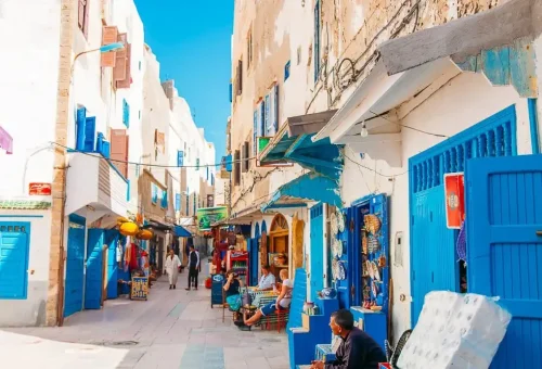 image_2024-12-11_121925788