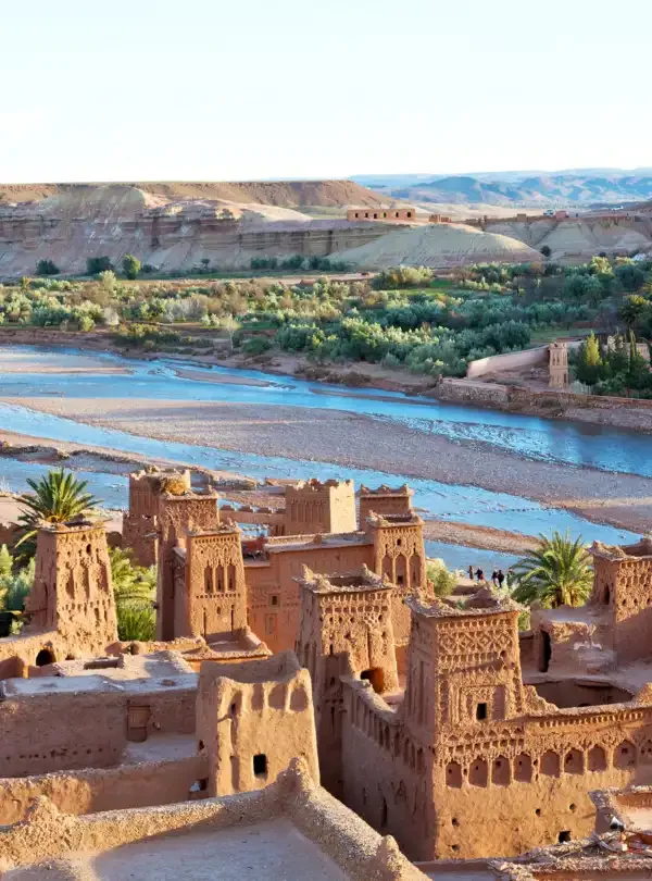 image_2024-12-11_122517830-600x810