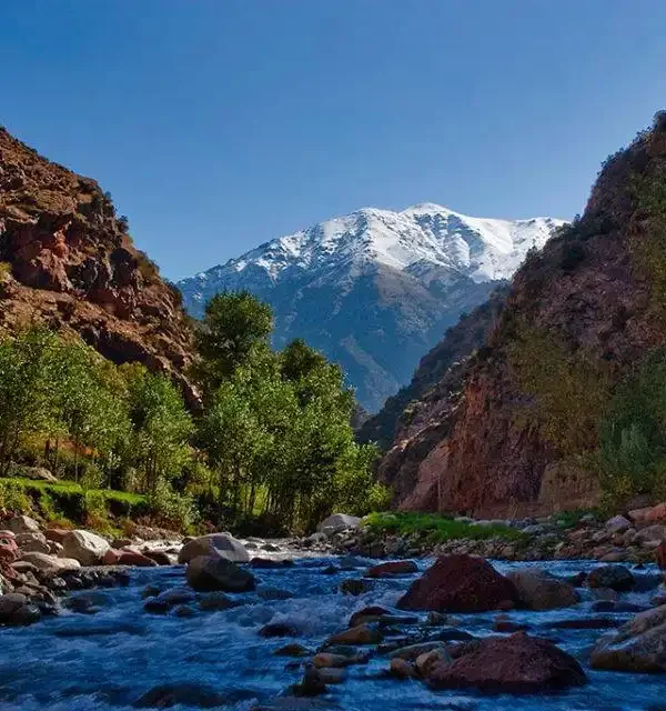 image_2024-12-11_122302052-600x640