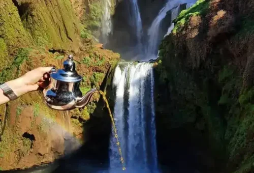 image_2024-12-10_134021518