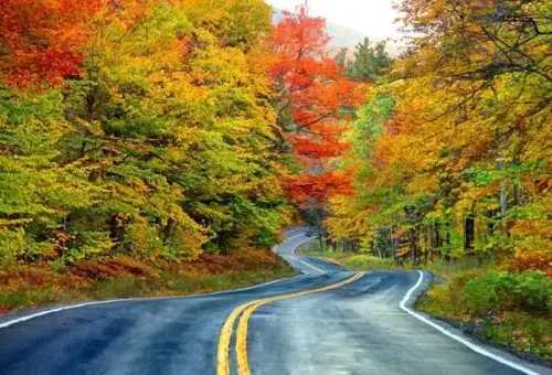 autumn-colours-white-mountain-usa-1