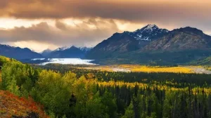 Matanuska Valley Gettyimages 569710341 43