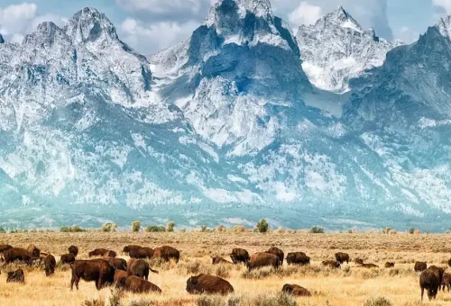 american-parks-trail-guided-tour-27