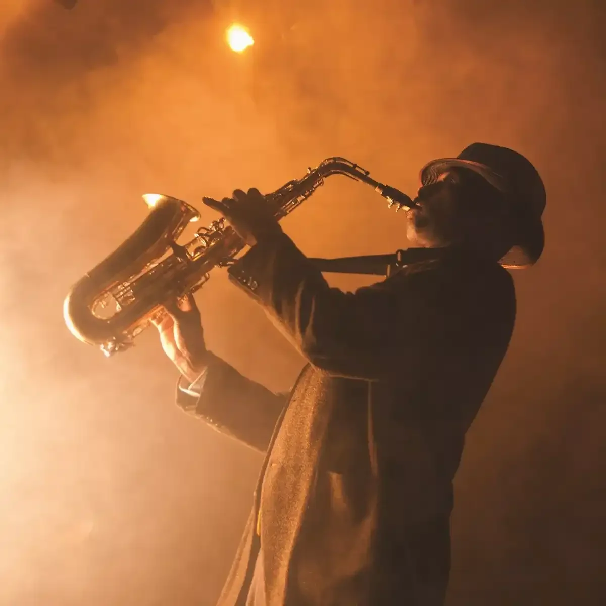Musician Playing Saxophone On Stage Usa 3