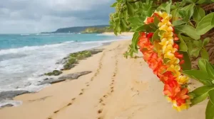 Oahu Beach Honolulu Hawaii 1