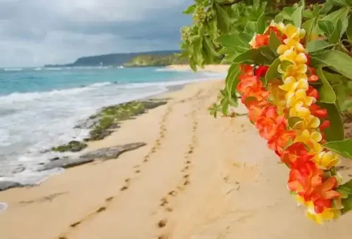 oahu-beach-honolulu-hawaii-1
