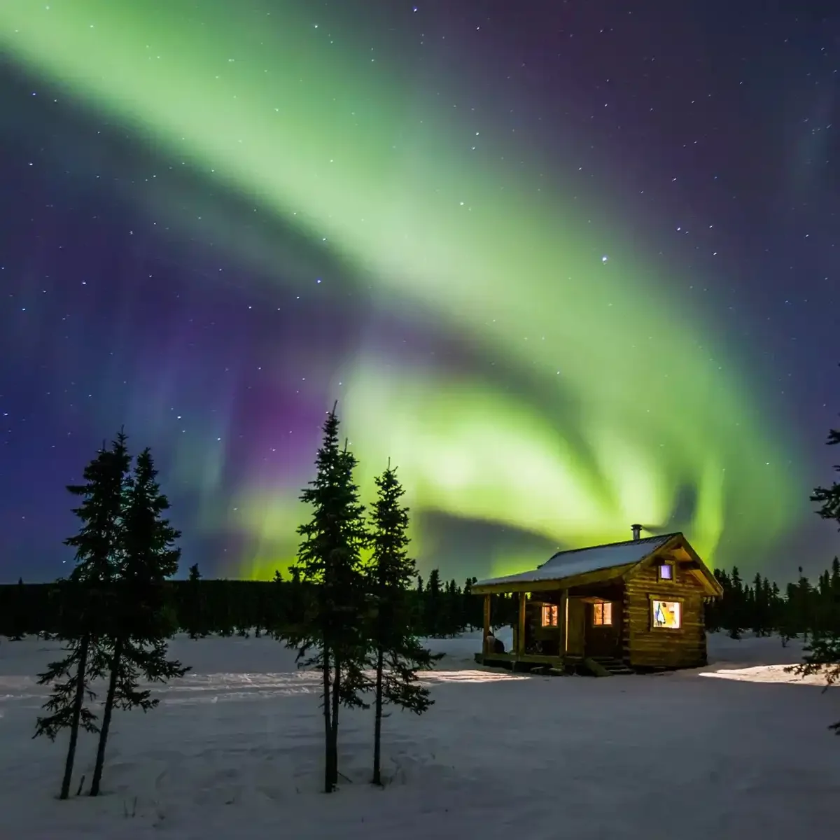 Alaska Northern Lights Guided Tour 1