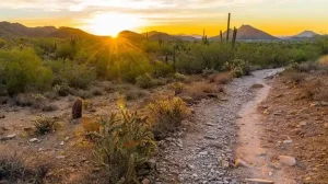 Desert Trail Scottsdale Usa 1
