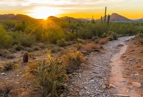 desert-trail-scottsdale-usa-1