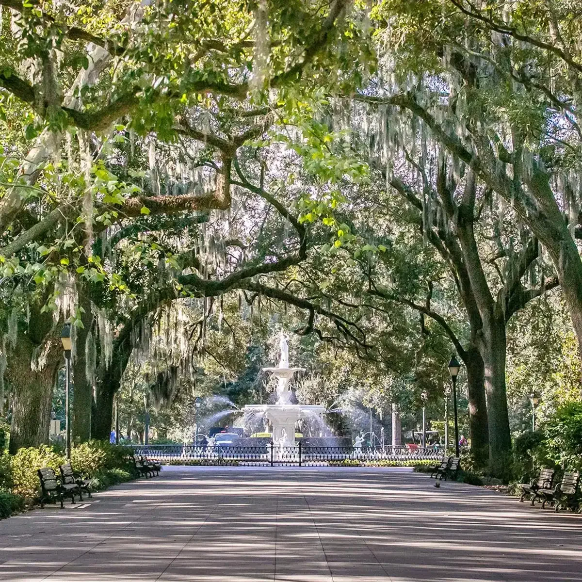 Charms Southeast Usa Guided Tour 2