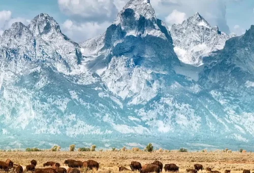 five-epic-national-parks-guided-tour-3
