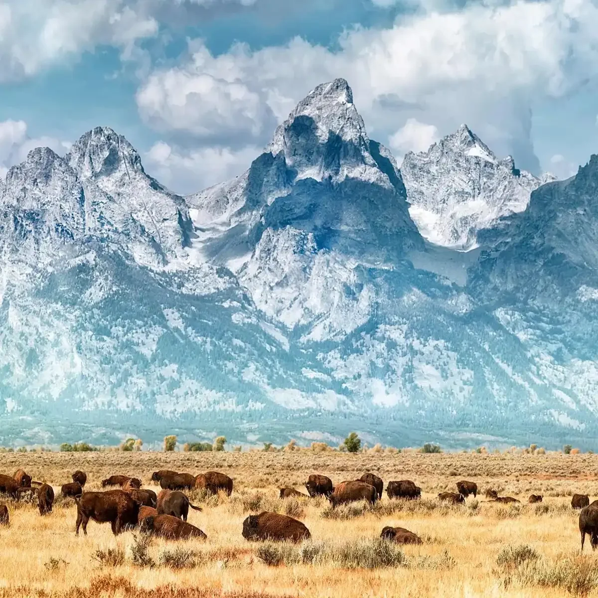 Five Epic National Parks Guided Tour 3