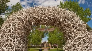 Jackson Wyoming Usa Tt 1