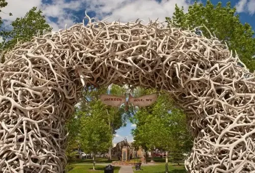 jackson-wyoming-usa-tt-1