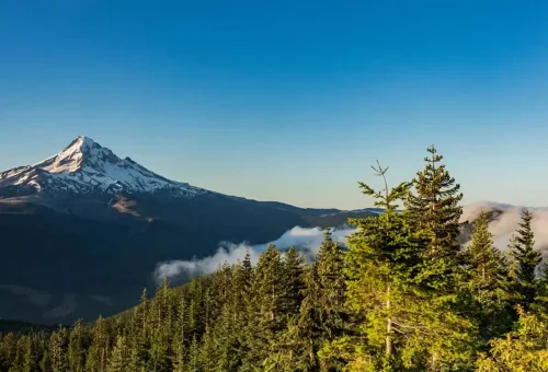 scene-from-flanks-mt-hood-portland-oregon-usa-1