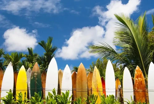 best-hawaii-guided-tour-1