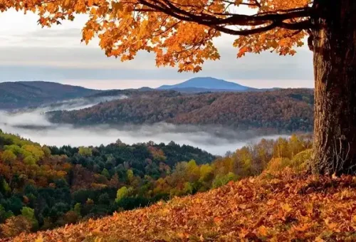 view-vermont-usa-1