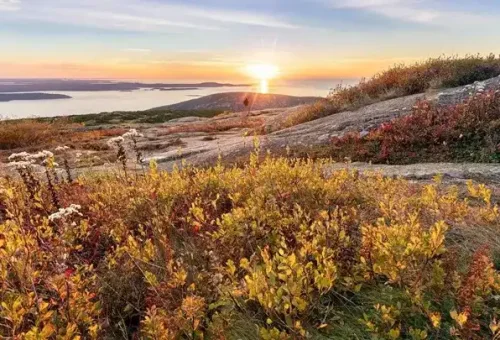 view-acadia-national-park-usa-1