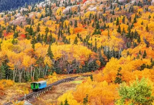 train-mount-washington-usa-1