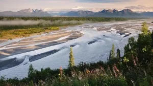 Chulitna River Denali National Park Alaska Usa 1