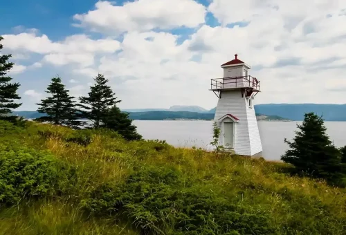 scenic-wonders-newfoundland-labrador-ile-saint-pierre-guided-tour-1