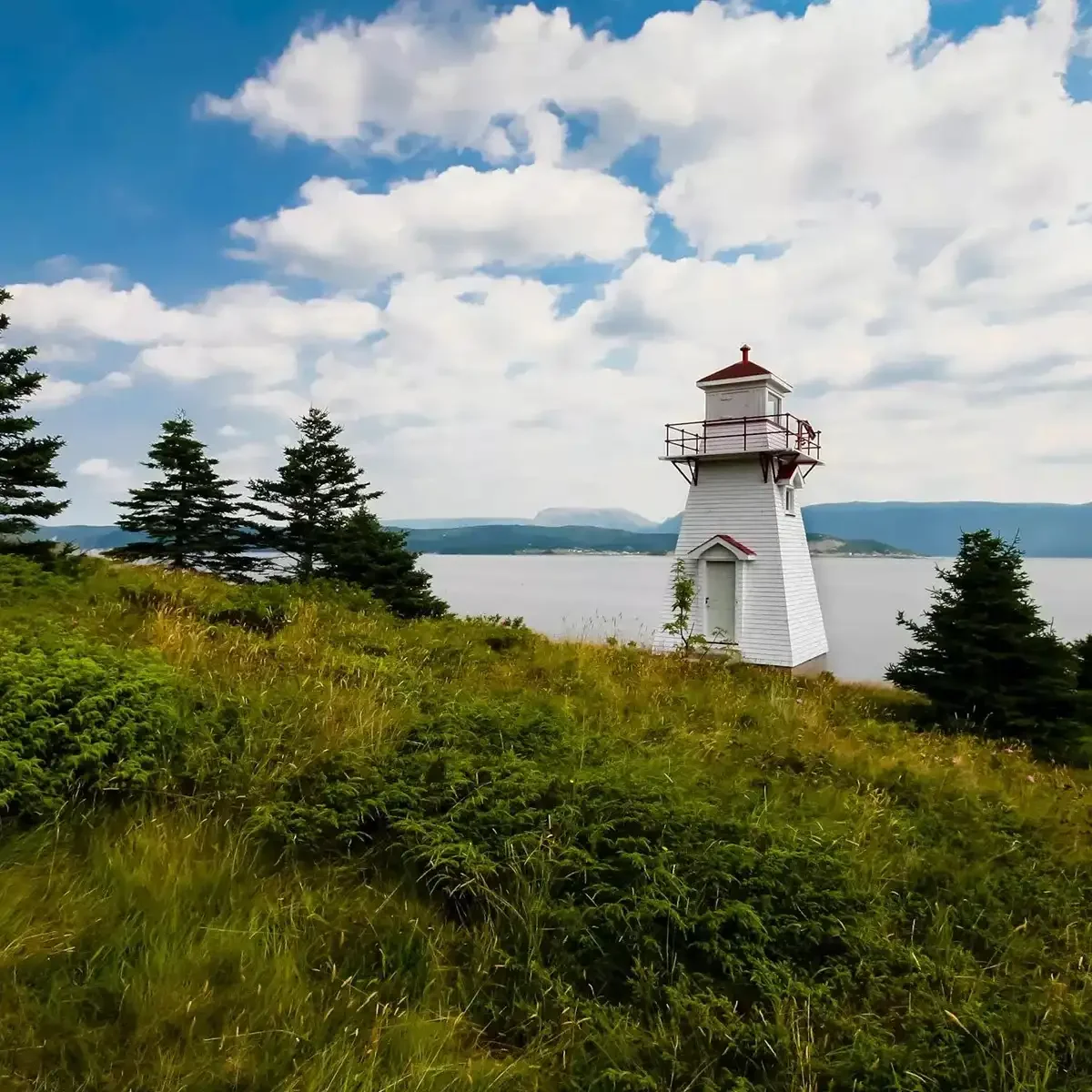 Scenic Wonders Newfoundland Labrador Ile Saint Pierre Guided Tour 1