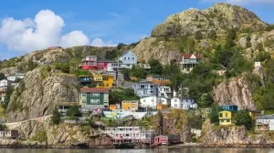 Harbour St Johns Newfoundland Canada 1