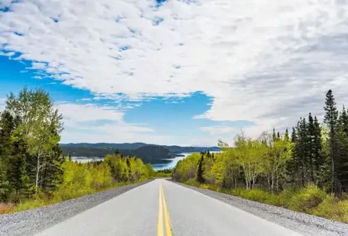 road-view-gander-canada-1