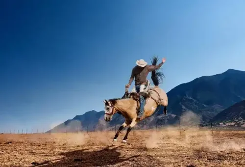 cowboy-horse-cody-usa-1
